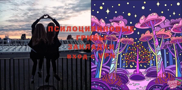 МДМА Медвежьегорск