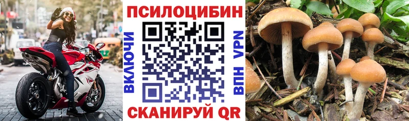 Псилоцибиновые грибы Magic Shrooms  где найти наркотики  Никольское 